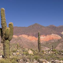 Jujuy Orlando Tourists