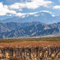 Mendoza Province Orlando Tourists