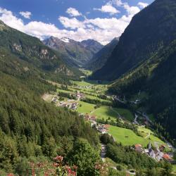 Pitztal Orlando Tourists