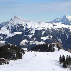 Skicircus Saalbach Hinterglemm Leogang Fieberbrunn Orlando Tourists