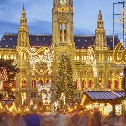 Vienna Christmas Market, Vienna Orlando Tourists