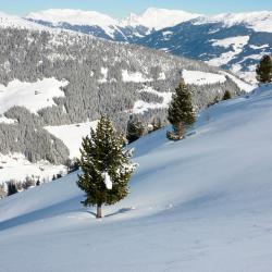 Zillertal Orlando Tourists