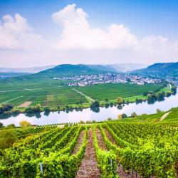 German Mosel Orlando Tourists