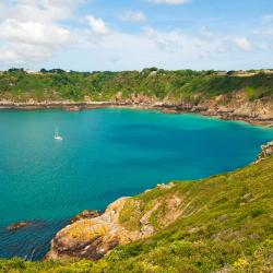 Guernsey Orlando Tourists
