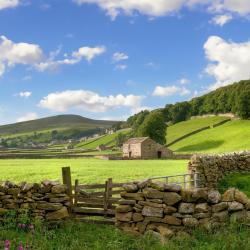 Yorkshire Dales Orlando Tourists