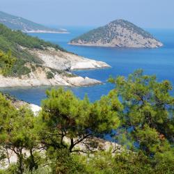 Thasos Orlando Tourists