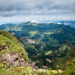 Coromandel Peninsula Orlando Tourists