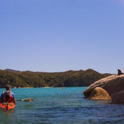 Golden Bay Orlando Tourists