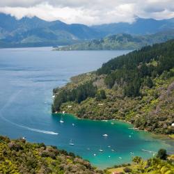 Marlborough Sounds Orlando Tourists