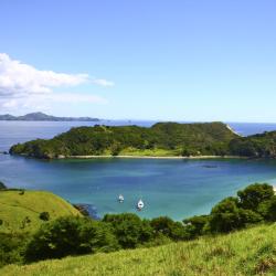 North Island Orlando Tourists