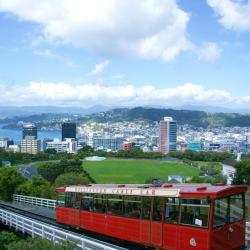 Wellington Orlando Tourists