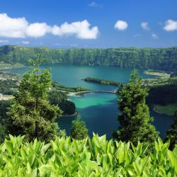 Azores Orlando Tourists