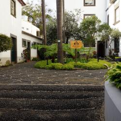Funchal's Museum of Natural History, Funchal Orlando Tourists