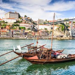 Porto Orlando Tourists