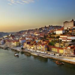 Porto Region Orlando Tourists