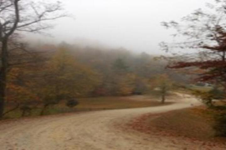 Magnolia Cabin At Blairsville Cabin - thumb 4