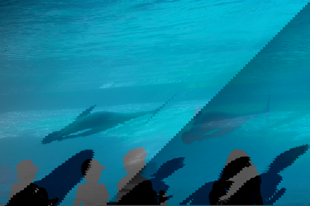 New Listing! Fortuna Bay Canalside W/ Views 2 Bedroom Condo - thumb 3