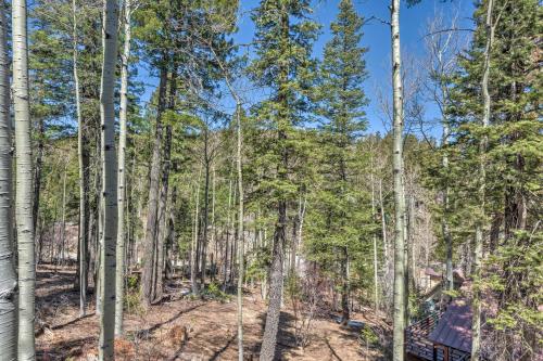 Quaint Cloudcroft Cabin With Stunning Forest Views! - thumb 2