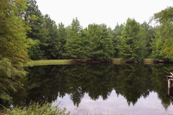 Beaver Creek Lodge Huntington Home W / Pond! - thumb 6