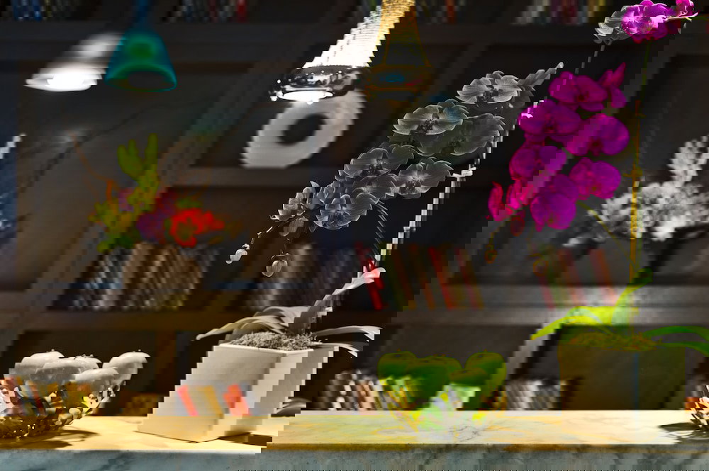 The Marcel At Gramercy - thumb 0