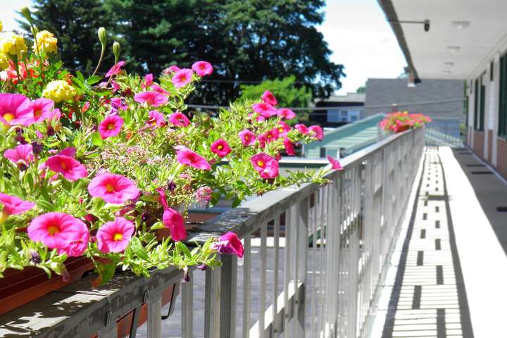 Travelers Inn - thumb 2