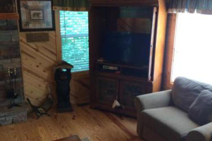 Pine Cabin At Blairsville - thumb 3