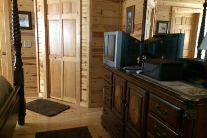 Pine Cabin At Blairsville - thumb 1