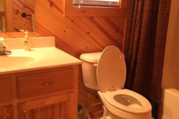 Pine Cabin At Blairsville - thumb 5