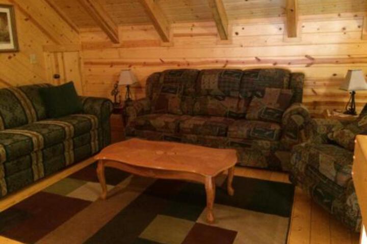 Pine Cabin At Blairsville - thumb 2