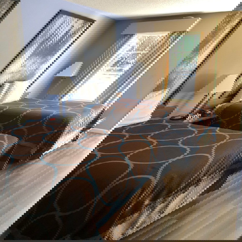 Super 8 By Wyndham Orangeburg North - thumb 4