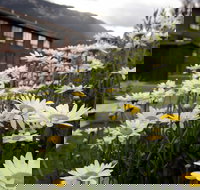 Buck's T-4 Lodge - Orlando Tourists