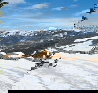 Cowboy Heaven Cabins - Orlando Tourists