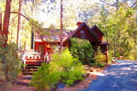 Idyllwild Ca Orlando Tourists