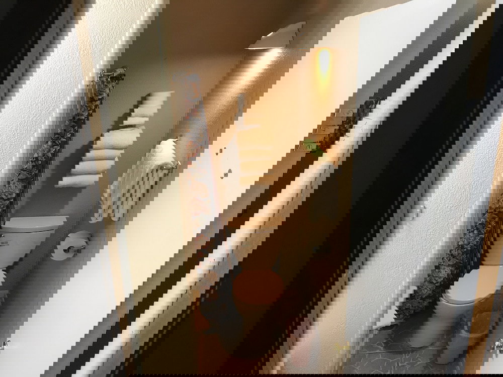 High Country Lodge - thumb 5