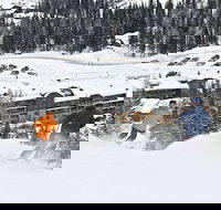 Morning Eagle - Orlando Tourists