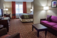 Comfort Inn  Suites Artesia