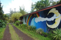 Pahoa Hi Orlando Tourists