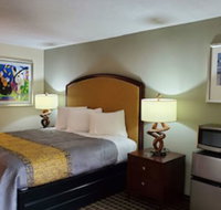 Palmetto Inn & Suites - Orlando Tourists