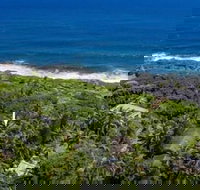 Ma'ukele Lodge - Orlando Tourists