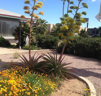 Desert Rose Motel - Orlando Tourists