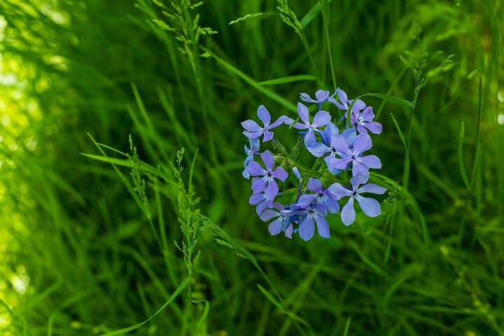 Oak Grove Bed And Breakfast - thumb 6