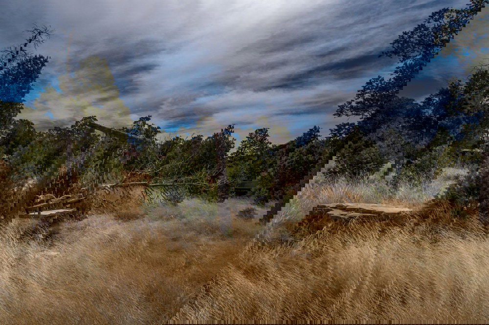 A Frame Acres - Three Bedroom Cabin - thumb 0