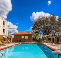 Best Western Plus Bradenton Hotel  Suites - Orlando Tourists
