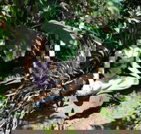 Cinderland EcoVillage - Orlando Tourists