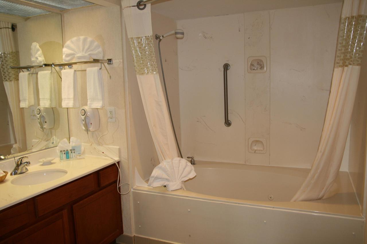 Hampton Inn & Suites Atlanta-Galleria - thumb 14