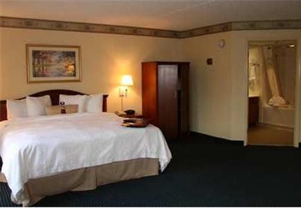 Hampton Inn & Suites Atlanta-Galleria - thumb 27