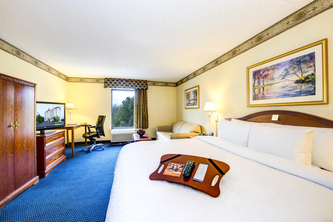 Hampton Inn & Suites Atlanta-Galleria - thumb 1
