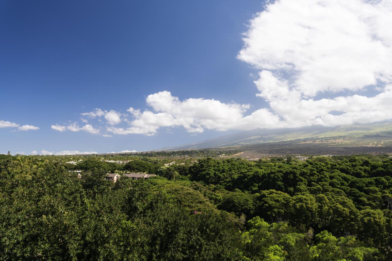 Wailea Beach Resort - Marriott, Maui - thumb 25