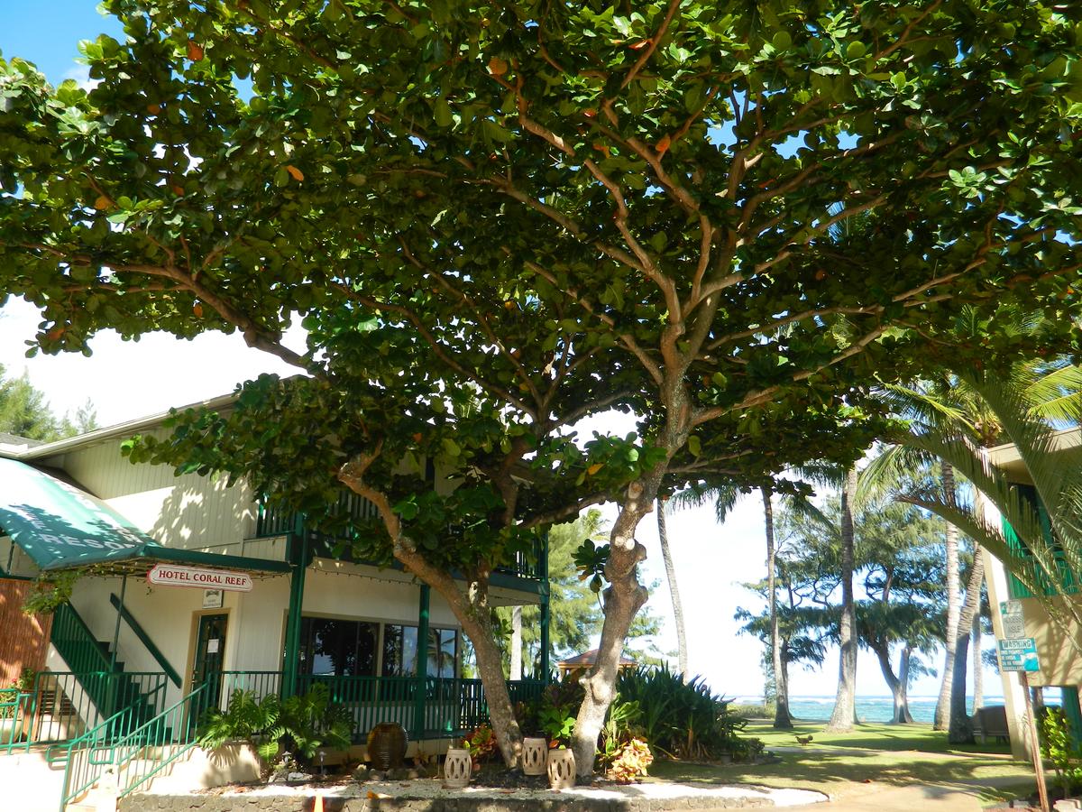 Hotel Coral Reef - thumb 8