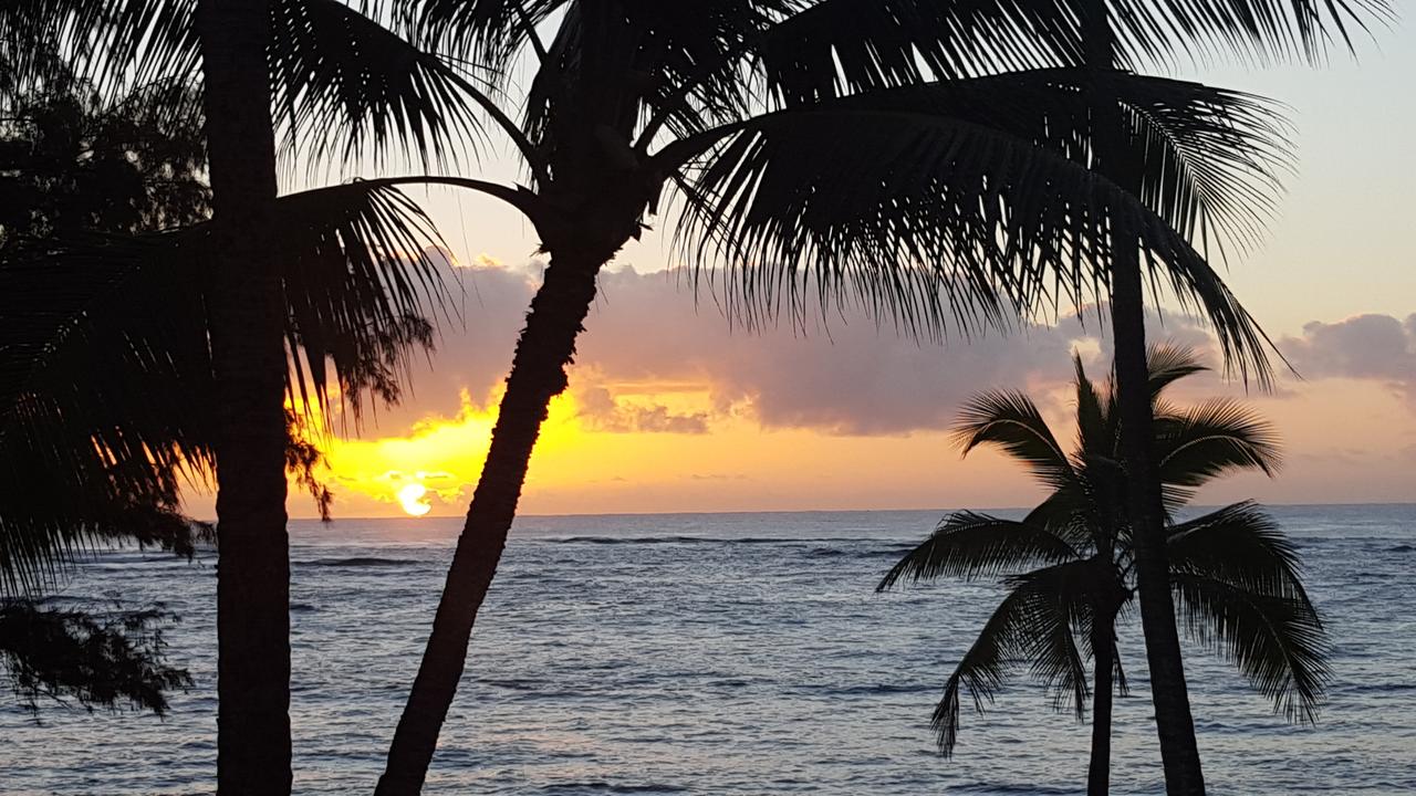 Hotel Coral Reef - thumb 10